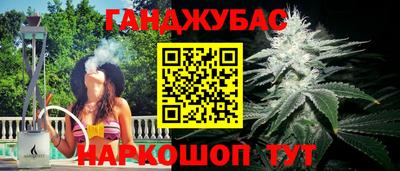 стаф Пенза
