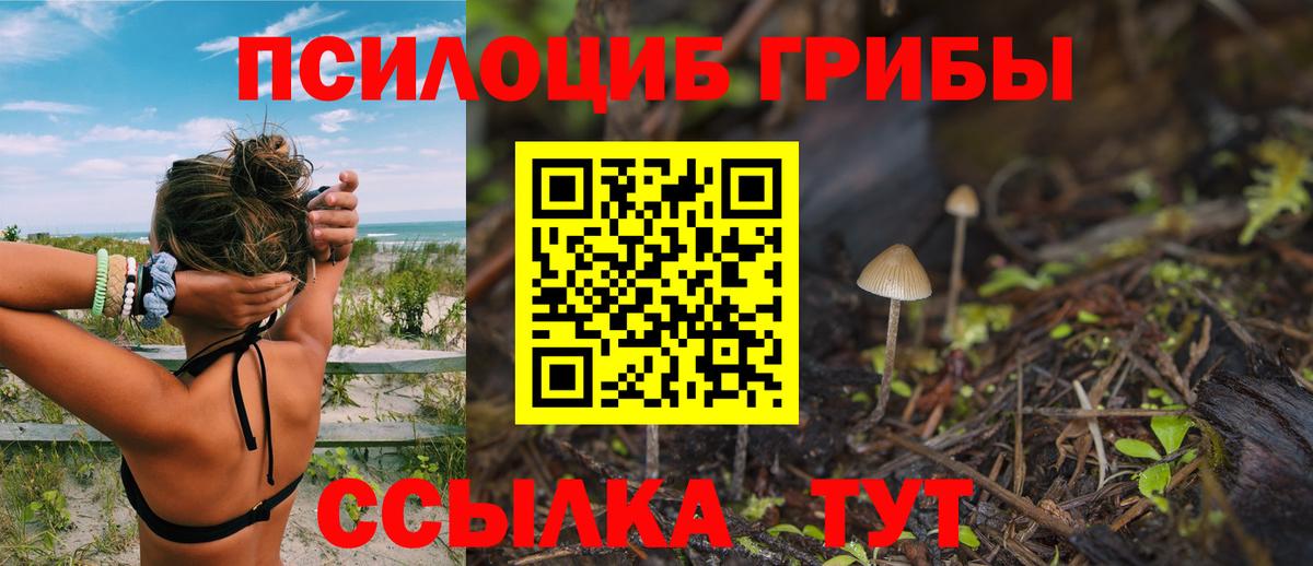 Рассказово  Псилоцибиновые грибы прущие грибы  Вход с VPN 
